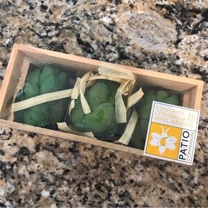 🦟Artichoke Citronella Candles